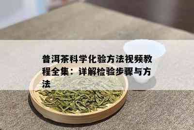 普洱茶科学化验方法视频教程全集：详解检验步骤与方法