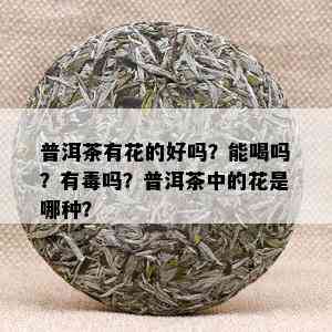 普洱茶有花的好吗？能喝吗？有吗？普洱茶中的花是哪种？