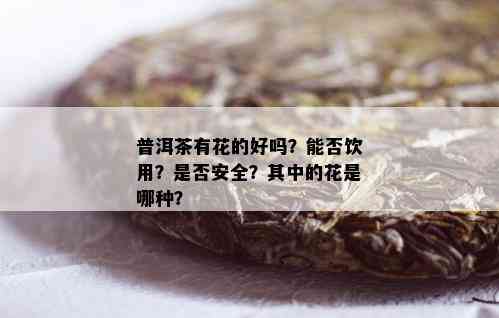 普洱茶有花的好吗？能否饮用？是否安全？其中的花是哪种？