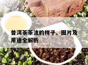 普洱茶茶渣的样子、图片及用途全解析