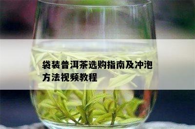 袋装普洱茶选购指南及冲泡方法视频教程