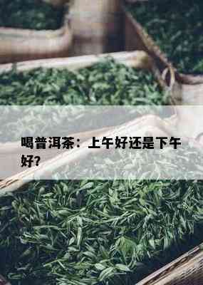 喝普洱茶：上午好还是下午好？