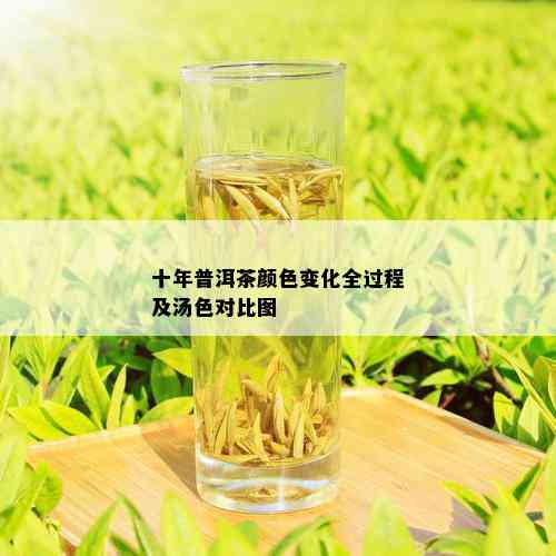 十年普洱茶颜色变化全过程及汤色对比图