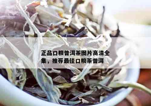 正品口粮普洱茶图片高清全集，推荐更佳口粮茶普洱