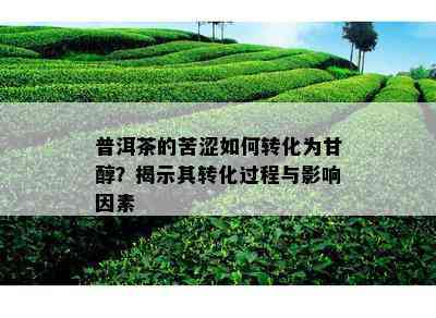 普洱茶的苦涩如何转化为甘醇？揭示其转化过程与影响因素