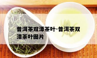 普洱茶双潭茶叶-普洱茶双潭茶叶图片