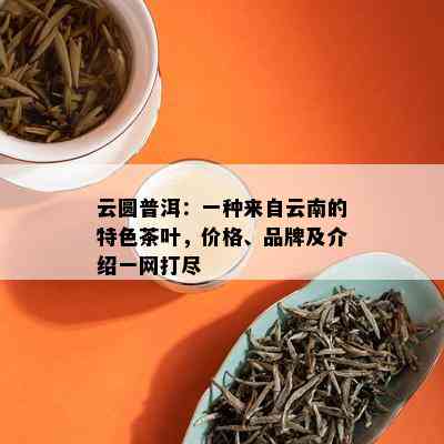 云圆普洱：一种来自云南的特色茶叶，价格、品牌及介绍一网打尽