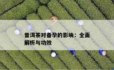 普洱茶对备孕的影响：全面解析与功效