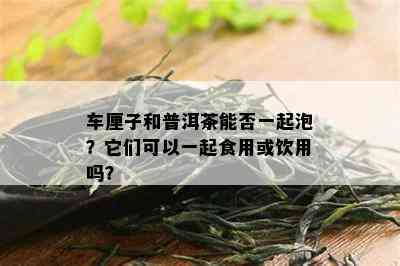 车厘子和普洱茶能否一起泡？它们可以一起食用或饮用吗？