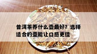 普洱茶养什么壶更好？选择适合的壶能让口感更佳