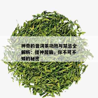 神奇的普洱茶功效与禁忌全解析：提神醒脑，你不可不知的秘密