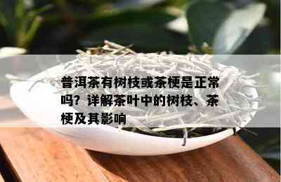 普洱茶有树枝或茶梗是正常吗？详解茶叶中的树枝、茶梗及其影响