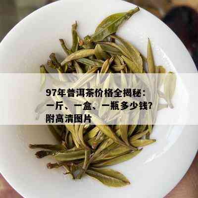 97年普洱茶价格全揭秘：一斤、一盒、一瓶多少钱？附高清图片