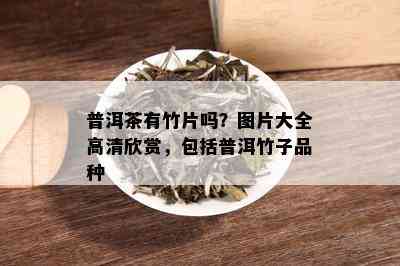 普洱茶有竹片吗？图片大全高清欣赏，包括普洱竹子品种