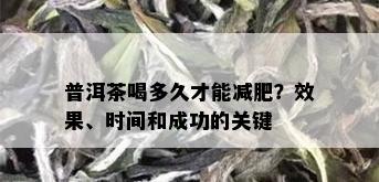 普洱茶喝多久才能减肥？效果、时间和成功的关键