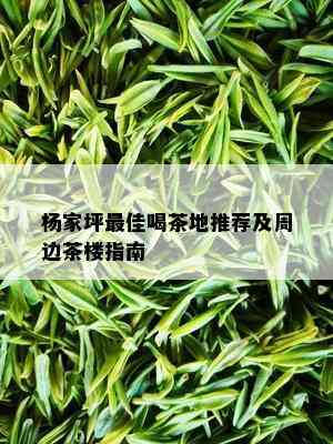 杨家坪更佳喝茶地推荐及周边茶楼指南