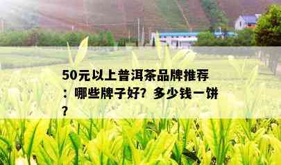 50元以上普洱茶品牌推荐：哪些牌子好？多少钱一饼？