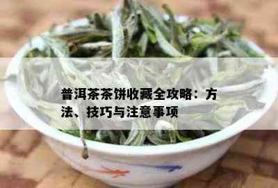 普洱茶茶饼收藏全攻略：方法、技巧与注意事项