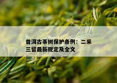 普洱古茶树保护条例：二采三留最新规定及全文