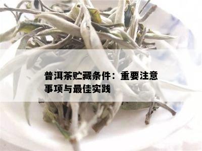 普洱茶贮藏条件：重要注意事项与更佳实践