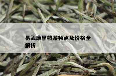 易武麻黑熟茶特点及价格全解析