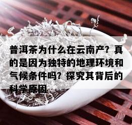 普洱茶为什么在云南产？真的是因为独特的地理环境和气候条件吗？探究其背后的科学原因