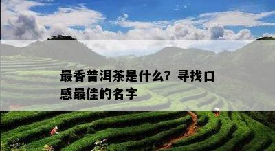 最香普洱茶是什么？寻找口感更佳的名字