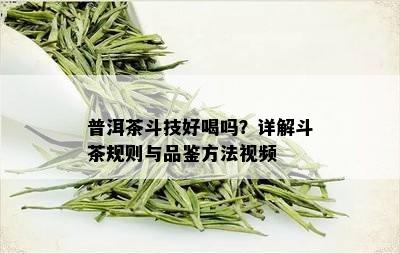 普洱茶斗技好喝吗？详解斗茶规则与品鉴方法视频