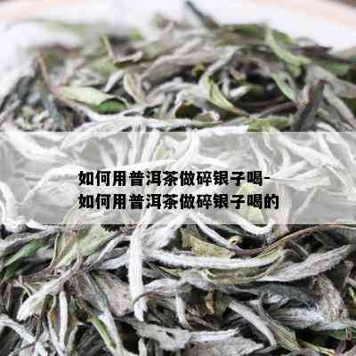 如何用普洱茶做碎银子喝-如何用普洱茶做碎银子喝的