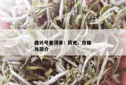 鼎兴号普洱茶：历史、价格与简介