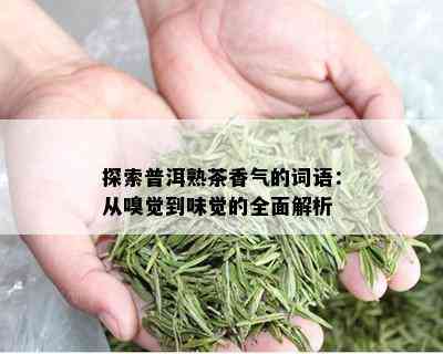 探索普洱熟茶香气的词语：从嗅觉到味觉的全面解析