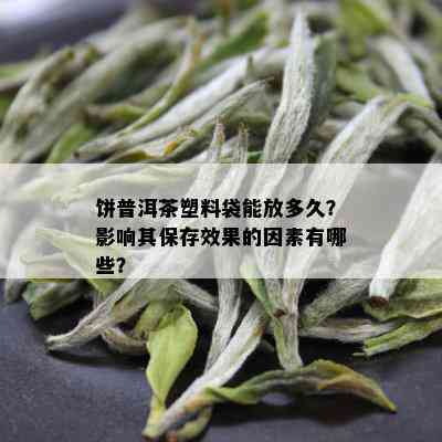 饼普洱茶塑料袋能放多久？影响其保存效果的因素有哪些？