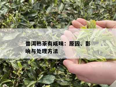 普洱熟茶有咸味：原因、影响与处理方法