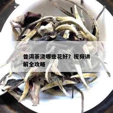 普洱茶浇哪些花好？视频讲解全攻略