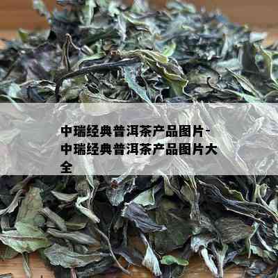 中瑞经典普洱茶产品图片-中瑞经典普洱茶产品图片大全