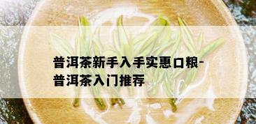 普洱茶新手入手实惠口粮-普洱茶入门推荐