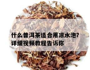 什么普洱茶适合用凉水泡？详细视频教程告诉你