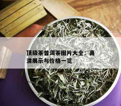 顶级茶普洱茶图片大全：高清展示与价格一览