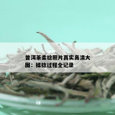 普洱茶柔捻照片真实高清大图：揉捻过程全记录