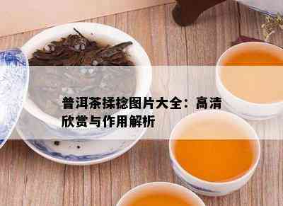 普洱茶揉捻图片大全：高清欣赏与作用解析