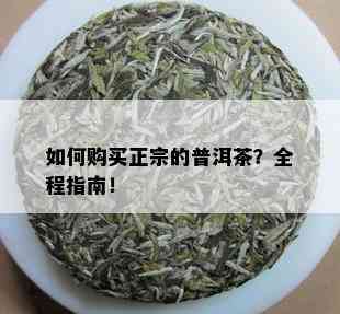 如何购买正宗的普洱茶？全程指南！