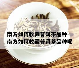 南方如何收藏普洱茶品种-南方如何收藏普洱茶品种呢