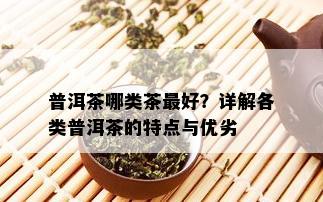 普洱茶哪类茶更好？详解各类普洱茶的特点与优劣