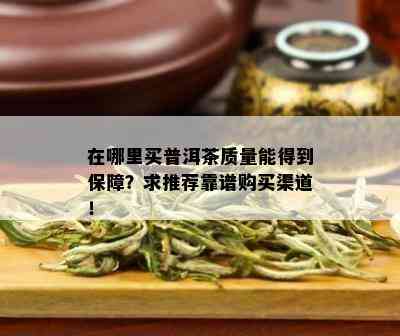 在哪里买普洱茶质量能得到保障？求推荐靠谱购买渠道！