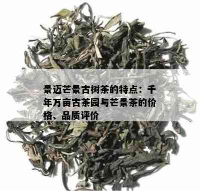 景迈芒景古树茶的特点：千年万亩古茶园与芒景茶的价格、品质评价