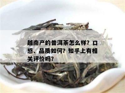 越南产的普洱茶怎么样？口感、品质如何？知乎上有相关评价吗？