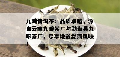 九畹普洱茶：品质卓越，源自云南九畹茶厂与勐海县九畹茶厂，尽享地道勐海风味！