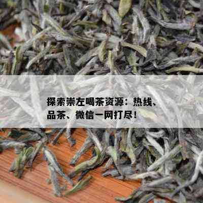 探索崇左喝茶资源：热线、品茶、微信一网打尽！