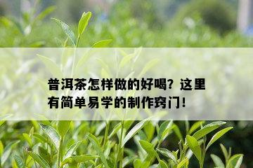 普洱茶怎样做的好喝？这里有简单易学的制作窍门！