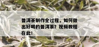 普洱茶制作全过程，如何做出好喝的普洱茶？视频教程在此！